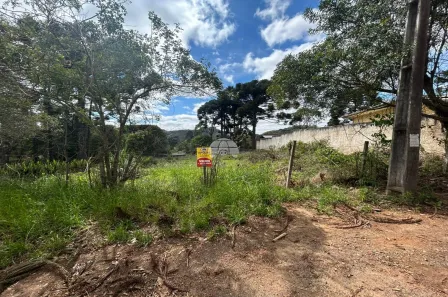 Lote/Terreno à venda, 3605m² no , Campo Largo