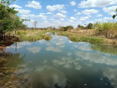 Fazenda/Sítio com 4 Quartos à venda, 7500m² no Setor Central, Leopoldo de Bulhões