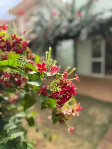 Casa de Condomínio com 3 Quartos à venda, 109m² no Bonfim Paulista, Ribeirão Preto