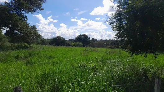 Fazenda/Sítio à venda, 500000m² no , Anastácio