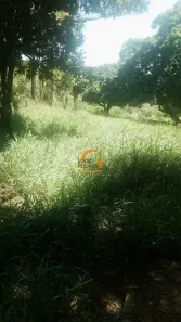 Lote/Terreno à venda, 5000m² no Morro Grande da Boa Vista, Bragança Paulista