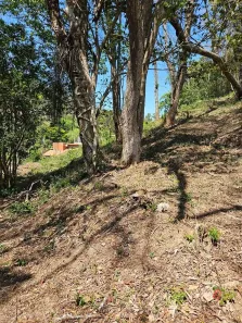 Lote/Terreno à venda, 2395m² no Carangola, Petrópolis