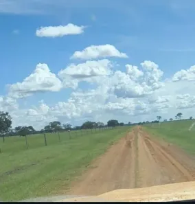 Fazenda/Sítio com 4 Quartos à venda, 15909400m² no , São Félix do Araguaia
