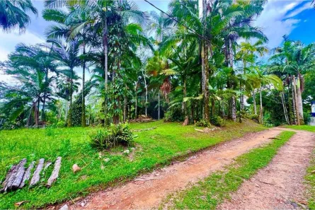 Lote/Terreno à venda, 711m² no Parque Balneario Oasis, Peruíbe