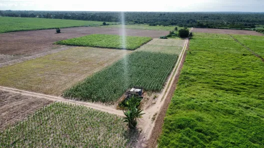 Fazenda/Sítio com 1 Quarto à venda, 470000m² no , São José de Mipibu