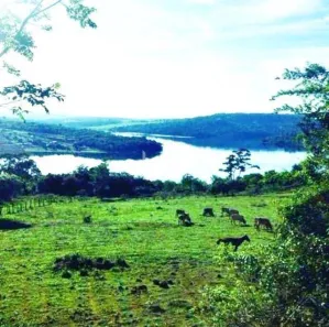 Fazenda/Sítio com 1 Quarto à venda, 25000m² no Área Rural de Uberlândia, Uberlândia