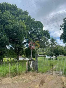 Fazenda/Sítio à venda, 36m² no Iguape, Ilhéus