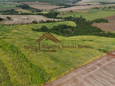 Fazenda/Sítio à venda, 435600m² no Área Rural de Avaré, Avaré