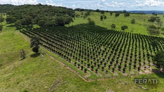 Fazenda/Sítio com 3 Quartos à venda, 438000m² no Residencial Copacabana, Anápolis