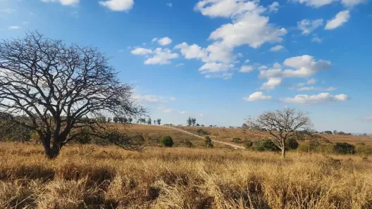 Lote/Terreno à venda, 1000m² no Funilândia, Funilândia