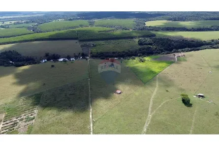 Fazenda/Sítio à venda, 56000m² no Prado, Prado