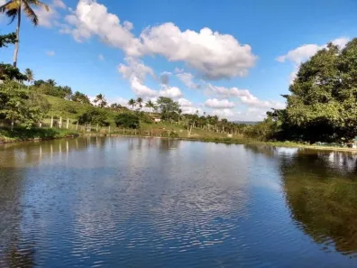 Fazenda/Sítio com 7 Quartos à venda, 240000m² no Distrito Industrial (Prefeito José Augusto Ferrer de Morais), Vitória de Santo Antão