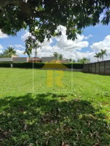 Lote/Terreno à venda, 981m² no Jardim do Cedro, São José do Rio Preto