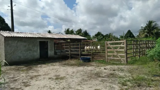 Fazenda/Sítio com 3 Quartos à venda, 1100m² no , Canguaretama