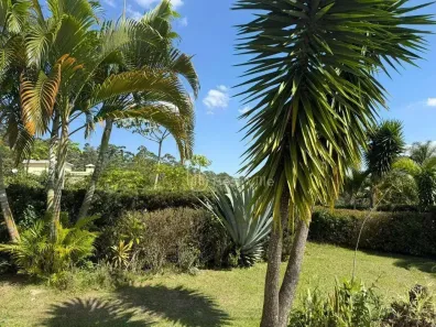 Lote/Terreno à venda, 590m² no Tamboré, Santana de Parnaíba