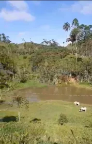 Fazenda/Sítio à venda, 82489m² no , Campina Grande do Sul