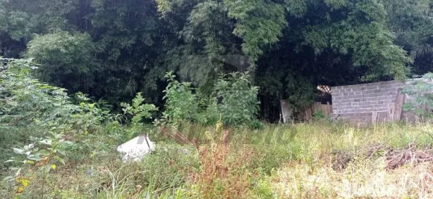 Lote/Terreno à venda, 1m² no Baeta Neves, São Bernardo do Campo