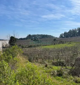 Lote/Terreno à venda, 58000m² no , Flores da Cunha