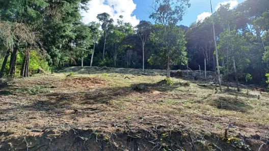 Fazenda/Sítio à venda, 5000m² no , Marechal Floriano