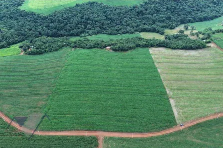 Lote/Terreno à venda, 93412m² no Área Rural de Cascavel, Cascavel