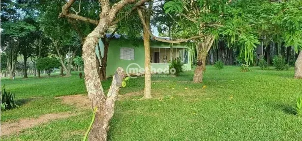 Fazenda/Sítio com 5 Quartos à venda, 480m² no Joaquim Egídio, Campinas