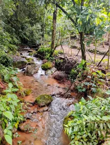 Fazenda/Sítio com 3 Quartos à venda, 1000m² no , Alfredo Chaves