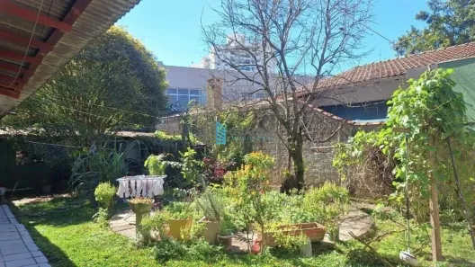Casa com 5 Quartos à venda, 230m² no Trindade, Florianópolis