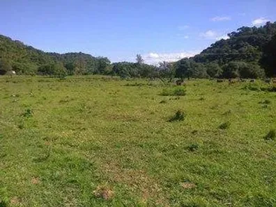 Fazenda/Sítio com 6 Quartos à venda, 430000m² no Vecchi, Cachoeiras de Macacu