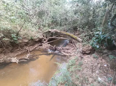 Fazenda/Sítio com 4 Quartos à venda, 20000m² no , Brasília
