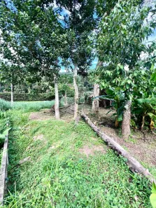 Lote/Terreno à venda, 384m² no Praia da Mococa, Caraguatatuba