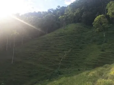 Fazenda/Sítio com 2 Quartos à venda, 78438m² no Três Rios do Norte, Jaraguá do Sul