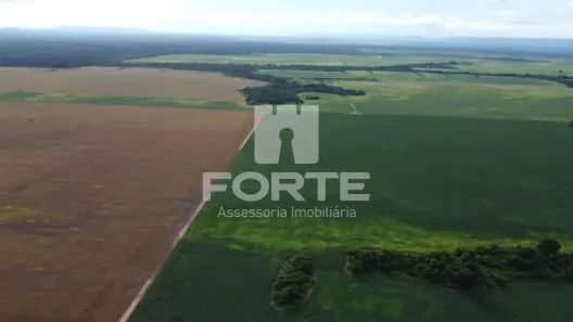 Fazenda/Sítio com 6 Quartos à venda, 39000m² no , Norte do Araguaia