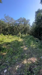Lote/Terreno à venda, 230m² no Santa Terezinha, Itanhaém