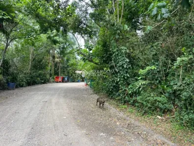 Lote/Terreno à venda, 9551m² no Batistini, São Bernardo do Campo
