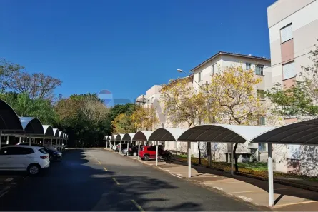Apartamento com 2 Quartos para alugar, 43m² no Vargeão, Jaguariúna