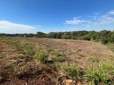 à venda, 6000m² no Cruz das Posses, Sertãozinho