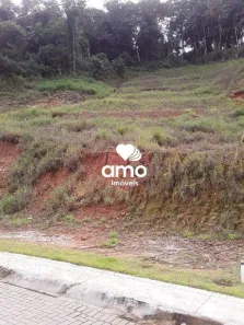 Lote/Terreno à venda, 248m² no Bateas, Brusque