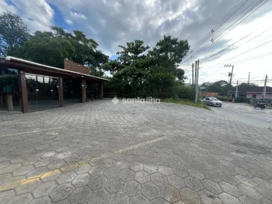 Lote/Terreno para alugar, 910m² no Rio Tavares, Florianópolis