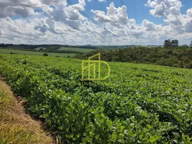 Fazenda/Sítio à venda, 10m² no Vila Sao Joao, São Miguel Arcanjo
