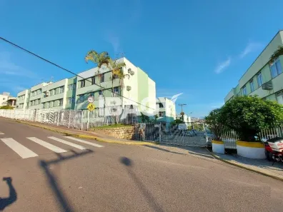 Apartamento com 2 Quartos para alugar, 52m² no Jardim Atlântico, Florianópolis