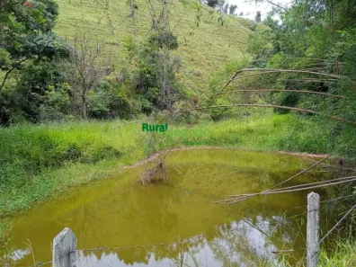 Fazenda/Sítio com 4 Quartos à venda, 145200m² no Centro, Lorena