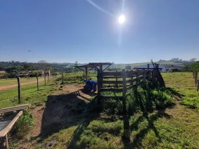 Fazenda/Sítio à venda, 29350m² no Elias Fausto, Elias Fausto