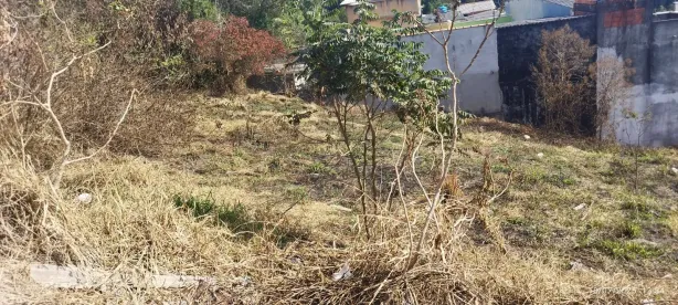 Lote/Terreno à venda, 584m² no Cidade São Pedro - Gleba B, Santana de Parnaíba