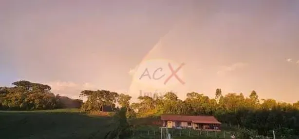 Fazenda/Sítio com 7 Quartos à venda, 550m² no Botiatuba, Almirante Tamandaré