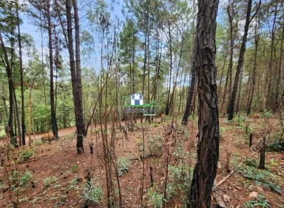 Lote/Terreno à venda, 1455m² no Village Sans Souci, Nova Lima