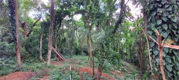 Casa de Condomínio com 2 Quartos à venda, 100m² no Caraguatá, Mairiporã
