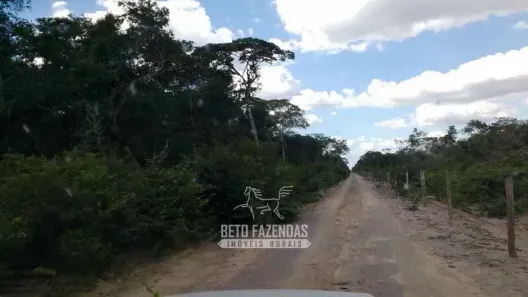 Fazenda/Sítio à venda, 157260000m² no , Santa Rosa do Piauí