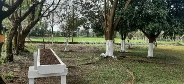 com 2 Quartos à venda, 31000m² no Lerroville, Londrina