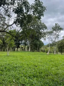 Lote/Terreno à venda, 15000m² no Rio Vermelho, Campo Alegre