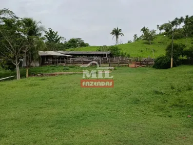 Fazenda/Sítio à venda, 500m² no , Xambioá
